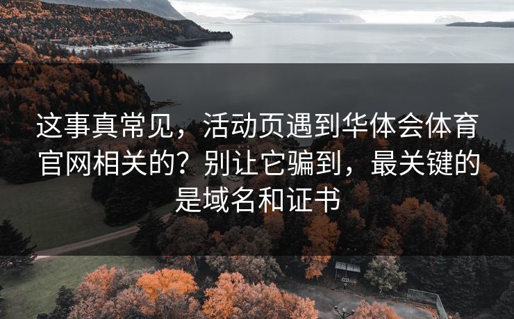 这事真常见，活动页遇到华体会体育官网相关的？别让它骗到，最关键的是域名和证书