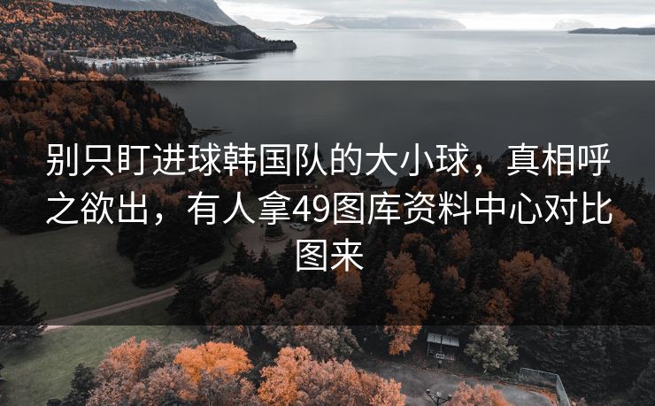 别只盯进球韩国队的大小球，真相呼之欲出，有人拿49图库资料中心对比图来